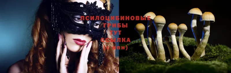 Псилоцибиновые грибы Magic Shrooms  мега зеркало  Семикаракорск 